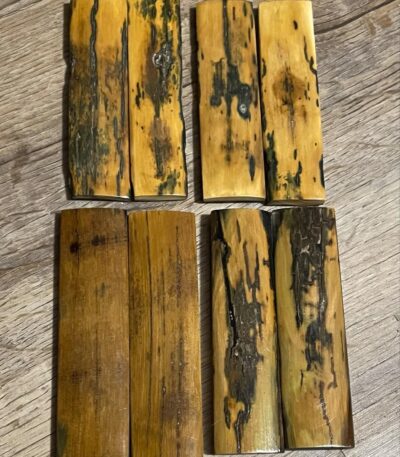 Stabilized mammoth tusk barks