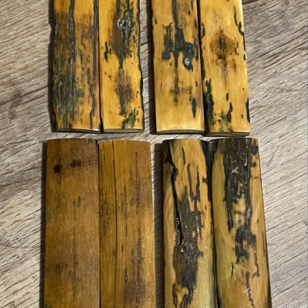 Stabilized mammoth tusk barks