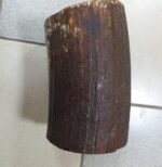 Mammoth ivory