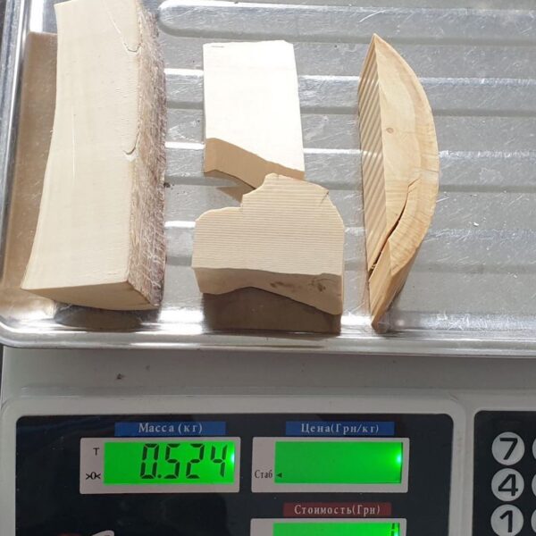 Mammoth ivory