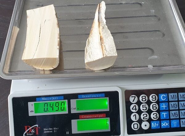 Mammoth ivory