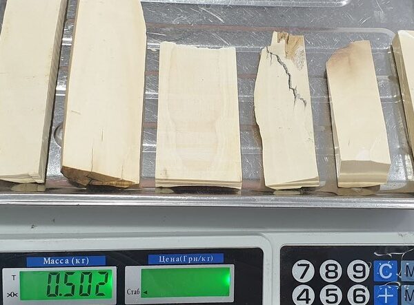 Mammoth ivory