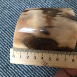 Stabilized Mammoth ivory