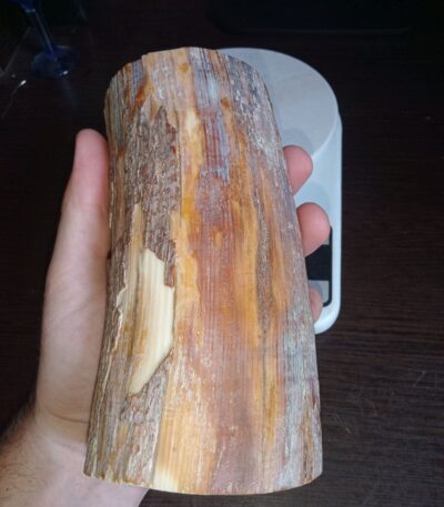 Mammoth ivory