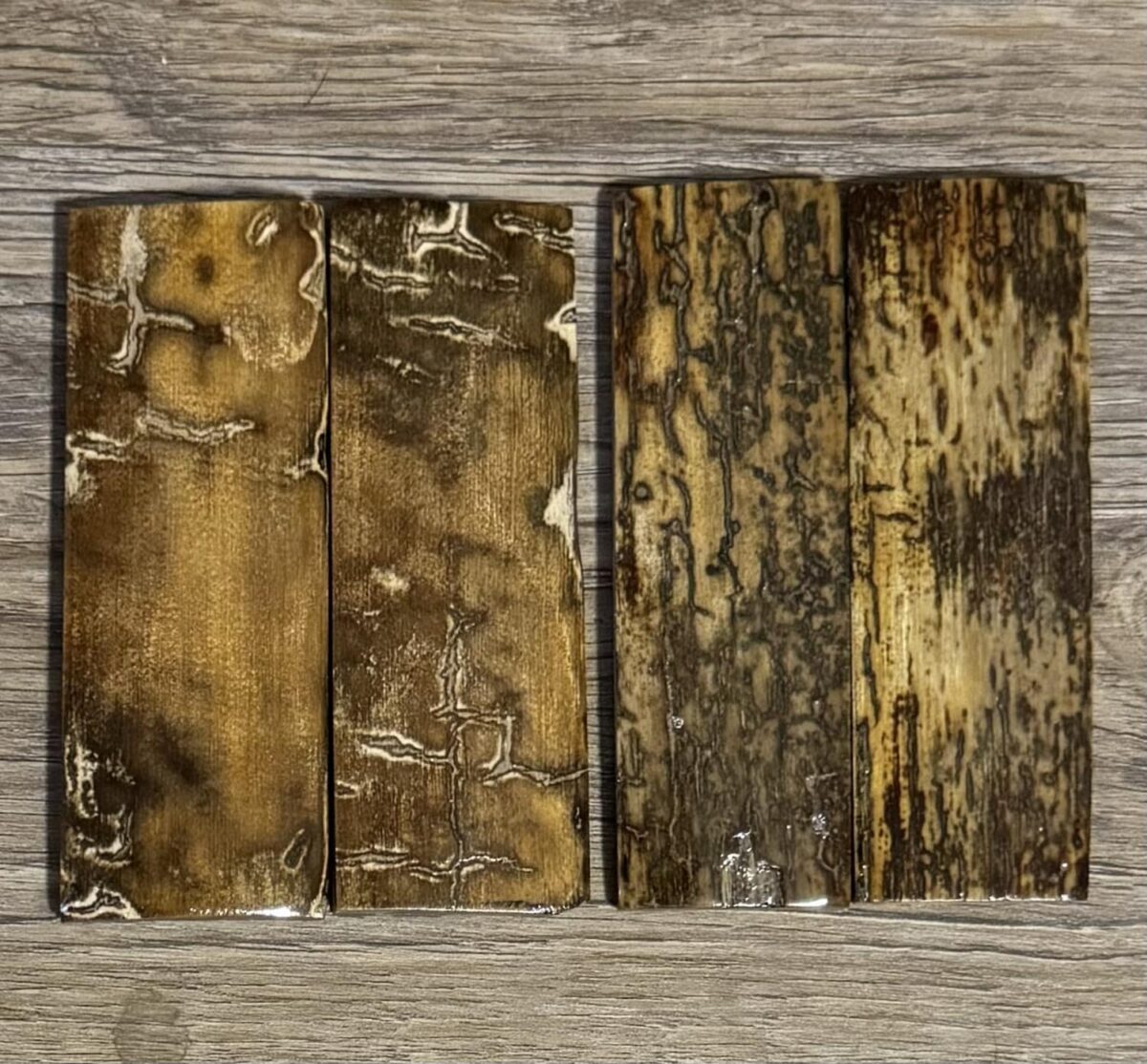 Stabilized mammoth tusk bark scales
